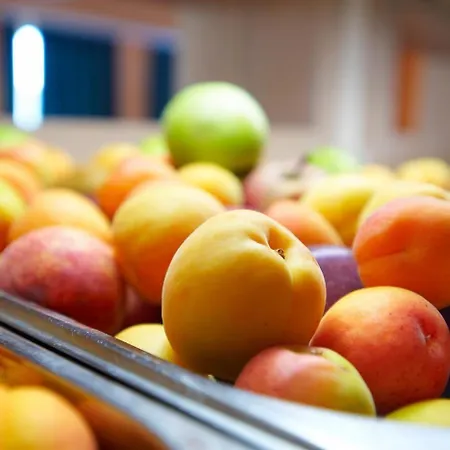 Portes 4*