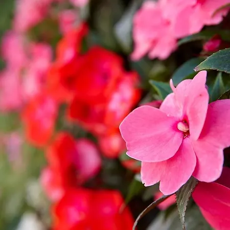 Üdülőközpont Portes 4*